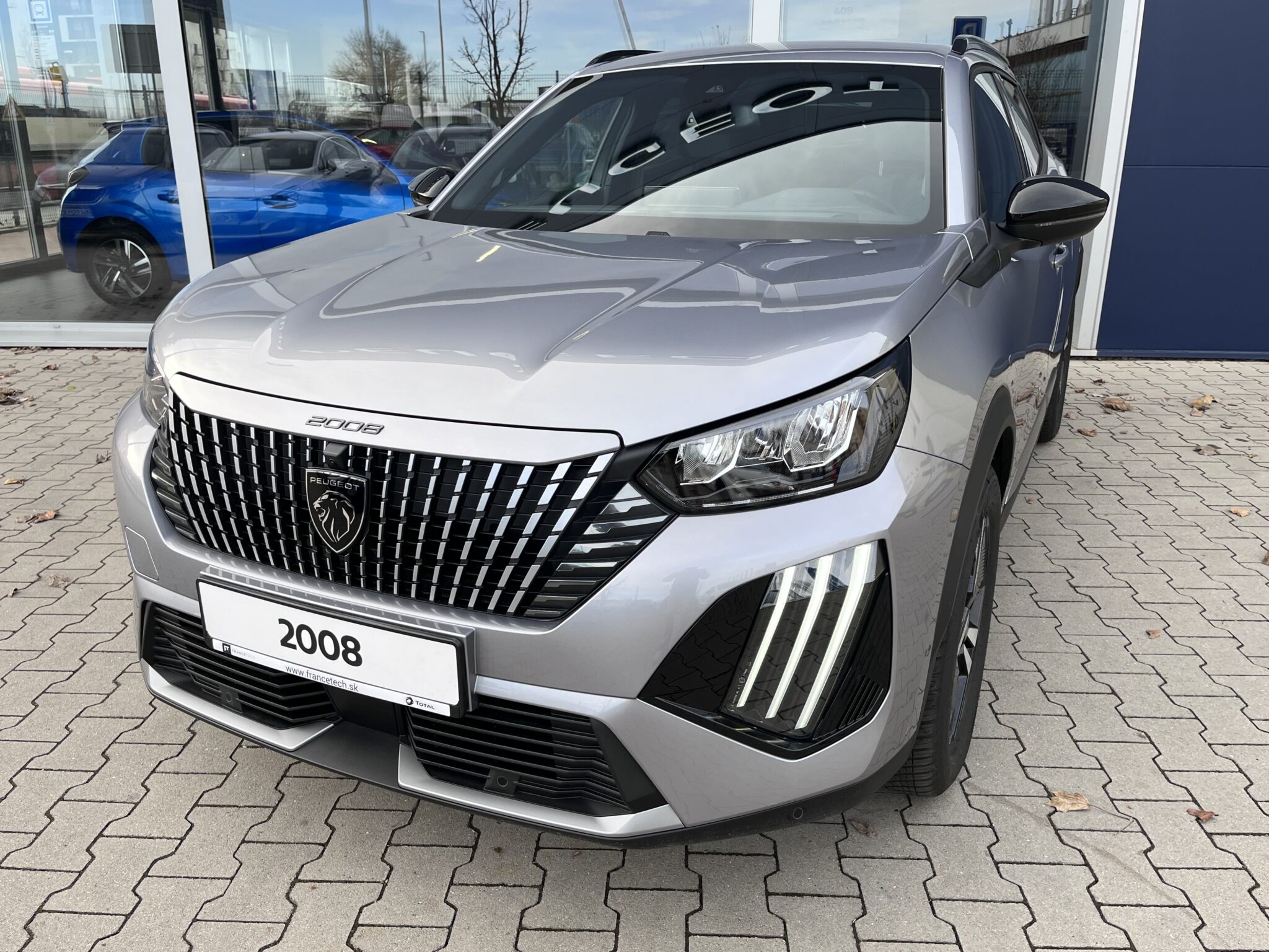 1.2008_Siva_F4M0_PLP