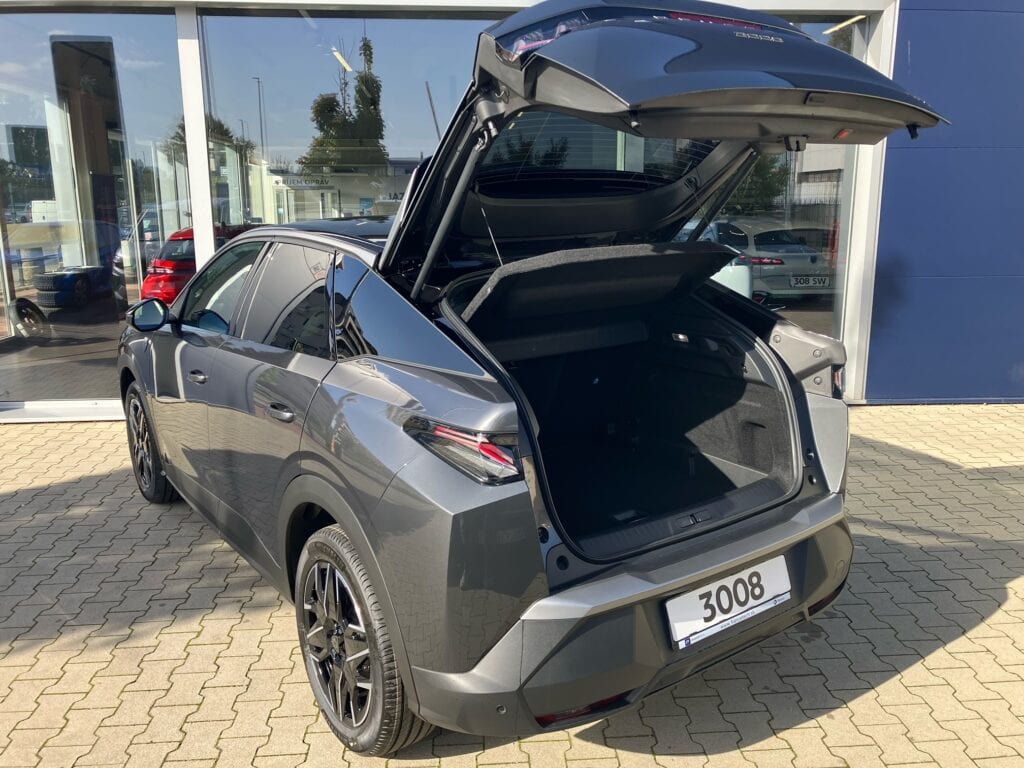 6_3008_GT_Sivá_1JM0_LZ2