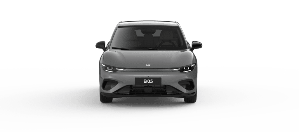 b05-life_grey_windy_3