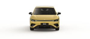 b05-life_yellow_3