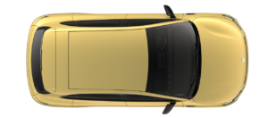 b05-life_yellow_6